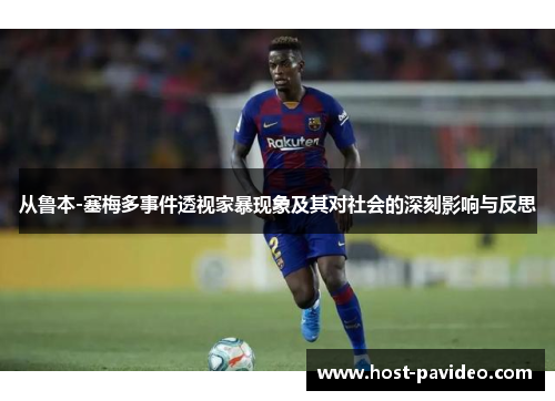 从鲁本-塞梅多事件透视家暴现象及其对社会的深刻影响与反思