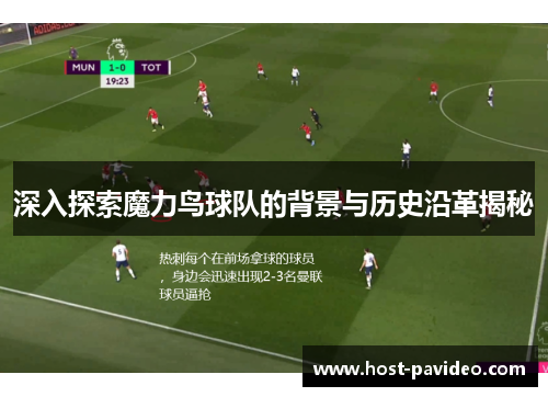 深入探索魔力鸟球队的背景与历史沿革揭秘