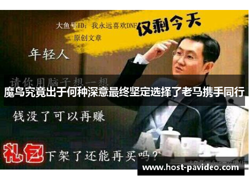 魔鸟究竟出于何种深意最终坚定选择了老马携手同行
