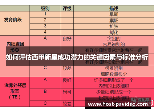 如何评估西甲新星成功潜力的关键因素与标准分析