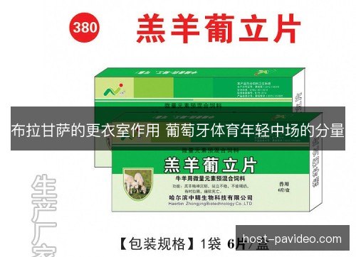 布拉甘萨的更衣室作用 葡萄牙体育年轻中场的分量